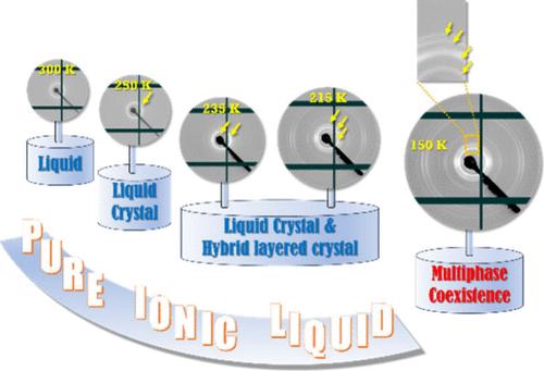 Multiphase Coexistence in an Ionic Liquid: 1-Decyl-3-methylimidazolium Nitrate