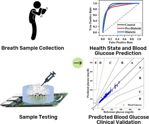 Breath Analysis Using Quartz Tuning Forks for Predicting Blood Glucose Levels Using Artificial Neural Networks