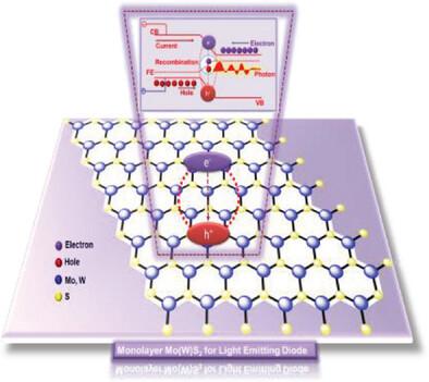 Monolayer MoS2 and WS2 for Vertical Circular- Polarized-Light-Emitting Diode: from Fundamental Understanding to Device Architecture