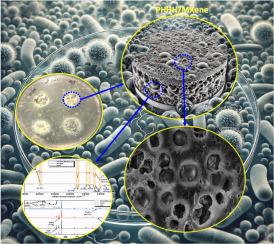 Ti3C2Tx MXene-functionalized Hydroxyapatite/Halloysite nanotube filled poly– (lactic acid) coatings on magnesium: In vitro and antibacterial applications