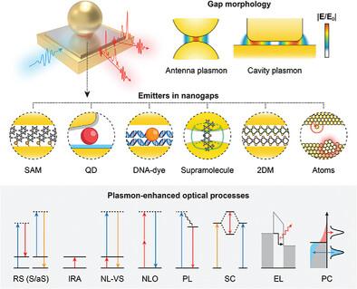 Boosting Light−Matter Interactions in Plasmonic Nanogaps