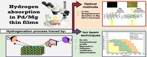 Isothermal hydrogen absorption process of Pd-capped Mg films traced by ion beam techniques and optical methods