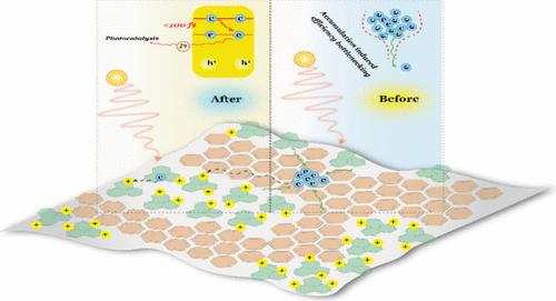 Role of Trap Optimization in a Heterostructure Carbon Nitride as a Methodology to Enhance Photocatalytic Hydrogen Production