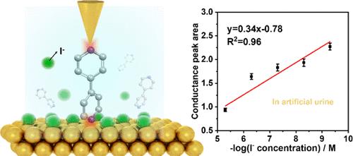 Label-Free Single-Molecule Electrical Sensor for Ultrasensitive and Selective Detection of Iodide Ions in Human Urine