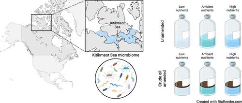 Novel oil-associated bacteria in Arctic seawater exposed to different nutrient biostimulation regimes