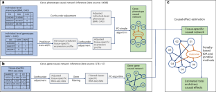 Estimation of causal effects of genes on complex traits using a Bayesian-network-based framework applied to GWAS data