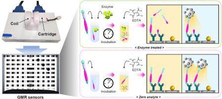 Detection of factor Xa activity using giant magnetoresistive biosensors