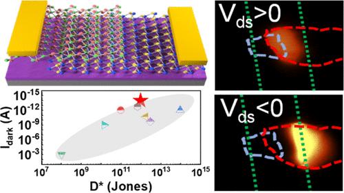 Bipolar Tunable Field-Effect Transistor Based on the Td-MoTe2/WSe2 Heterojunction with Reconfigurable Polarity Transition for Enhanced Photodetection