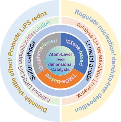 Atom-Level 2D Catalysts Accelerating Deposition/Dissolution Kinetics in Lithium–Sulfur Batteries