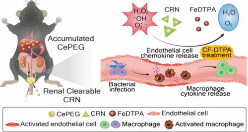 Co-Delivery of Renal Clearable Cerium Complex and Synergistic Antioxidant Iron Complex for Treating Sepsis