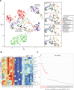 CD36 cell surface expression as a surrogate marker to identify ABL/JAK-class kinase fusions in pediatric BCP-ALL