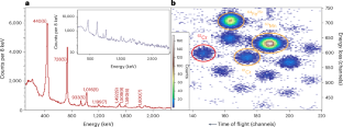 In-beam spectroscopy reveals competing nuclear shapes in the rare isotope 62Cr