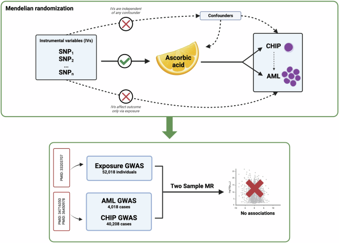 Appraising ascorbic acid as a chemoprevention agent for acute myeloid leukaemia using Mendelian Randomisation