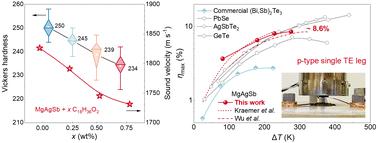 Global softening to manipulate sound velocity for reliable high-performance MgAgSb thermoelectrics