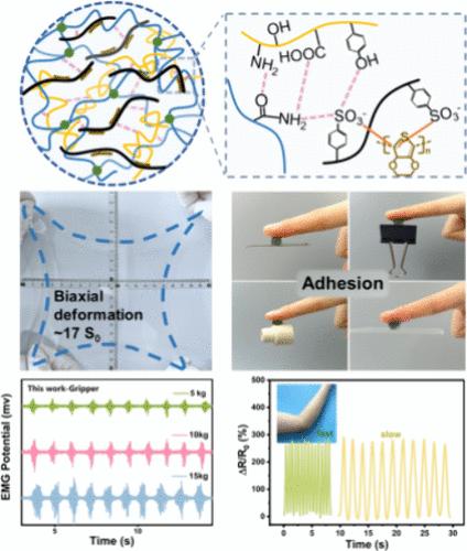 Ultrasoft Conducting Polymer Hydrogels with Large Biaxial Strain and Conformal Adhesion for Sensitive Flexible Sensors