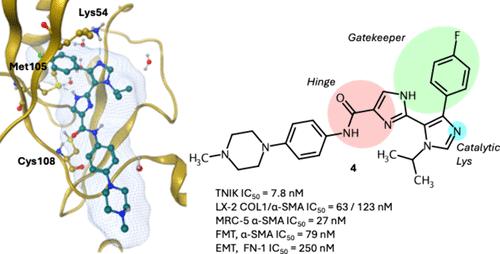 Discovery of Bis-imidazolecarboxamide Derivatives as Novel, Potent, and Selective TNIK Inhibitors for the Treatment of Idiopathic Pulmonary Fibrosis