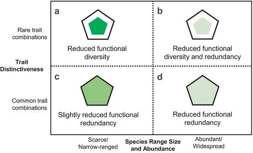 Global Avian Functional Diversity Depends on the World's Most Widespread and Distinct Birds