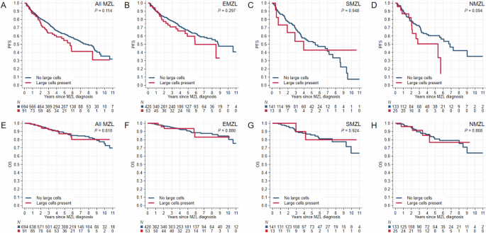 Evaluation of Ki-67 expression and large cell content as prognostic markers in MZL: a multicenter cohort study