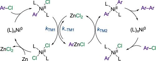 Kinetics and Mechanism of PPh3/Ni-Catalyzed, Zn-Mediated, Aryl Chloride Homocoupling: Antagonistic Effects of ZnCl2/Cl–