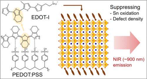 Interfacial Molecular Engineering for Efficient Sn Perovskite Light-Emitting Diodes