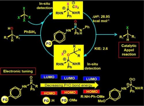 Moderation of the Electronic Structure of Phosphamides to Execute the Catalytic Appel Reaction Bypassing Phosphine