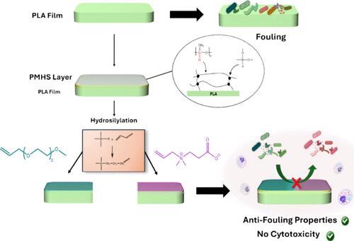 Development of Functionalized Polylactide Thin Films Using Poly(methylhydrogenosiloxane) Sol–Gel Process with Improved Antifouling Properties