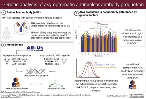 Genetic analysis of asymptomatic antinuclear antibody production