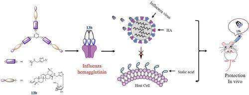 Trivalent oleanolic acid-glucose conjugates: Synthesis and efficacy against Influenza A virus