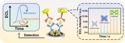 AIEgens-based luminescent metal-organic frameworks as novel electrochemiluminescence emitters Integrated with co-reaction amplification strategy for CA15-3 detection