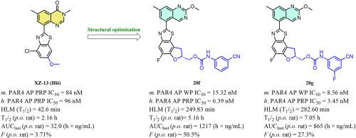 Discovery of quinazoline-benzothiazole derivatives as novel potent protease-activated receptor 4 antagonists with improved pharmacokinetics and low bleeding liability