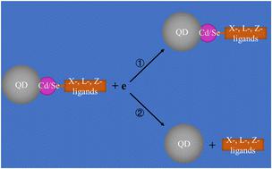 Ligand effect on surface reconstruction in CdSe quantum dots driven by electron injection in electroluminescence processes†