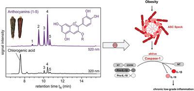 Acylated Anthocyanins From Black Carrots and Their Related Phenolic Acids Diminish Priming and Activation of the NLRP3 Inflammasome in THP-1 Monocytes