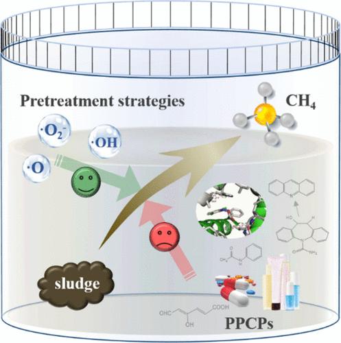 Effect, Fate and Remediation of Pharmaceuticals and Personal Care Products (PPCPs) during Anaerobic Sludge Treatment: A Review