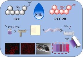 Development of red fluorescent probe for visual detection of N2H4 via nanofiber membrane and its application in environmental analysis and biological imaging