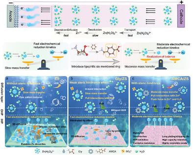 Comprehensive Understanding of Steric-Hindrance Effect on the Trade-Off Between Zinc Ions Transfer and Reduction Kinetics to Enable Highly Reversible and Stable Zn Anodes