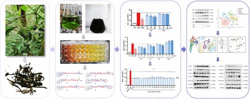 Bioactivity-Oriented Separation of “Pepper Alkaloids” from Piper sintenense Hatusima with Potential Antigouty Arthritis Activity