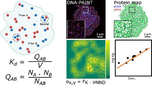 Quantitative Analysis of Protein–Protein Equilibrium Constants in Cellular Environments Using Single-Molecule Localization Microscopy