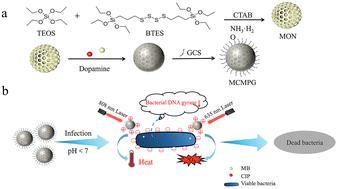 An acidity-triggered aggregation nanoplatform based on degradable mesoporous organosilica nanoparticles for precise drug delivery and phototherapy of focal bacterial infection