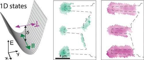 Valley-Hybridized Gate-Tunable 1D Exciton Confinement in MoSe2