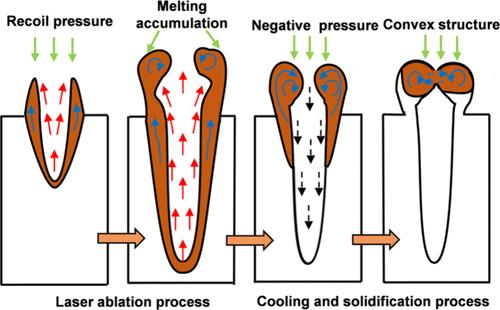 Research on the Mechanism of Femtosecond Laser Ablation Concave-Convex Microstructure Transformation