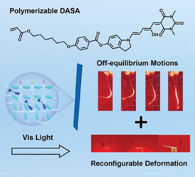 Reconfigurable Visible Light-Driven Liquid Crystalline Network Showing Off-Equilibrium Motions Enabled by Mesogen-Grafted Donor–Acceptor Stenhouse Adducts