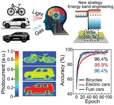 Van der Waals Heterojunction Based Self-Powered Biomimetic Dual-Mode Sensor for Precise Object Identification