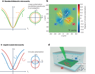 Perovskite microcavities spin the light