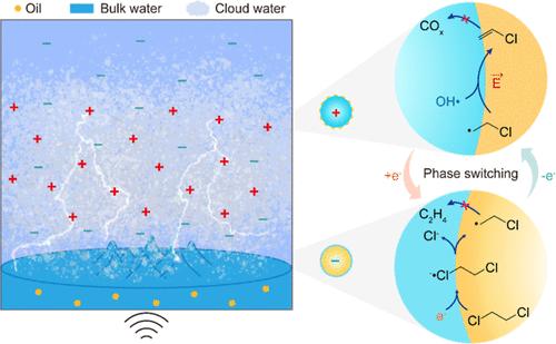 Microdroplet-Mediated Multiphase Cycling in a Cloud of Water Drives Chemoselective Electrolysis