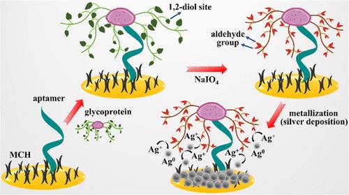 Glycan-Evocated Metallization for Amplification-Free Electrochemical Detection of Glycoproteins at Low Concentration Levels