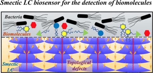 Biosensing of Bacterial Secretions via Topological Defects at Smectic Interfaces