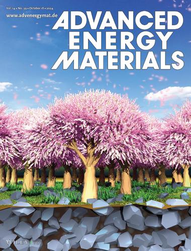 Evolution of Lithium Metal Anode Along Cycling in Working Lithium–Sulfur Batteries (Adv. Energy Mater. 39/2024)