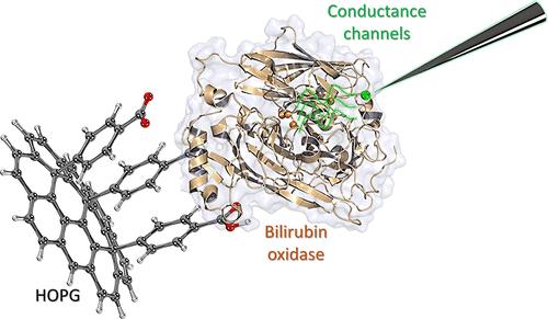 Conductance Channels in a Single-Entity Enzyme