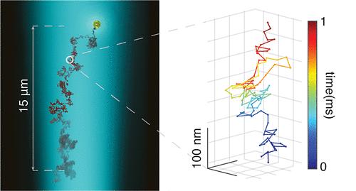 Long-Range Three-Dimensional Tracking of Nanoparticles Using Interferometric Scattering Microscopy