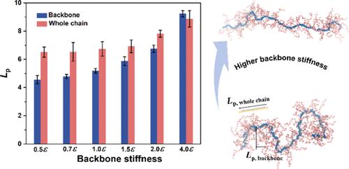 Uncovering Backbone Conformation for Rigid DPP-Based Donor–Acceptor Conjugated Polymer Using Deuterium Labeling and Neutron Scattering